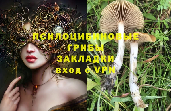 синтетический гашиш Богородск