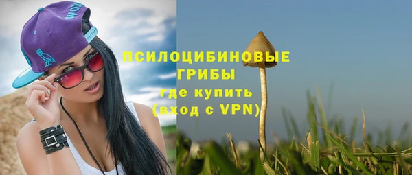 синтетический гашиш Богородск