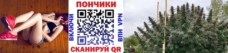 МАРИХУАНА план Купить закладки Бирск